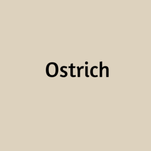 Ostrich